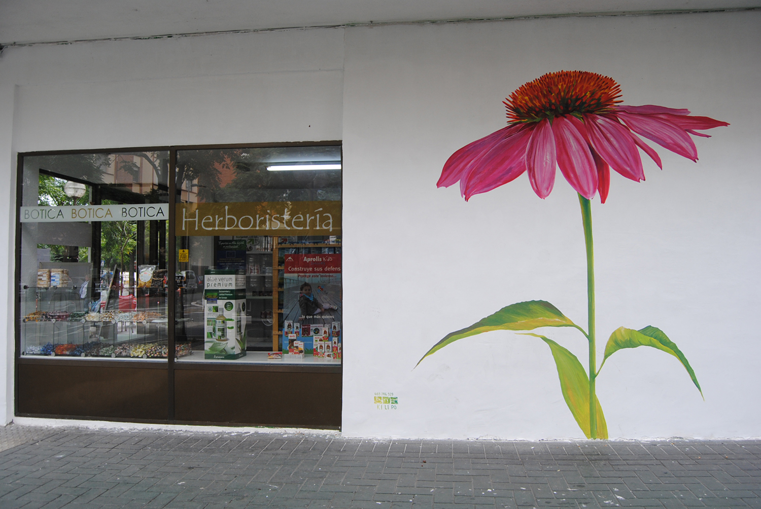 flor-mural-comercio-kilipo-vitoria